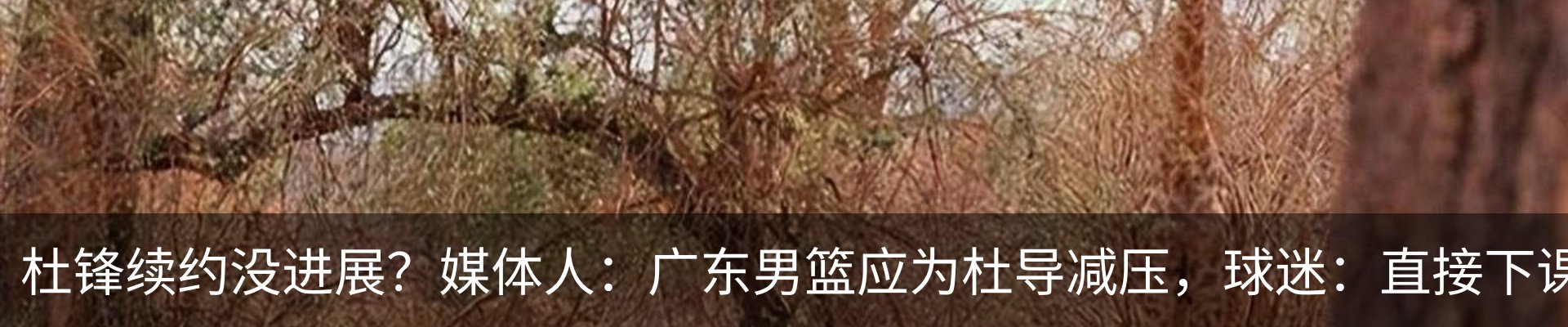 内页banner